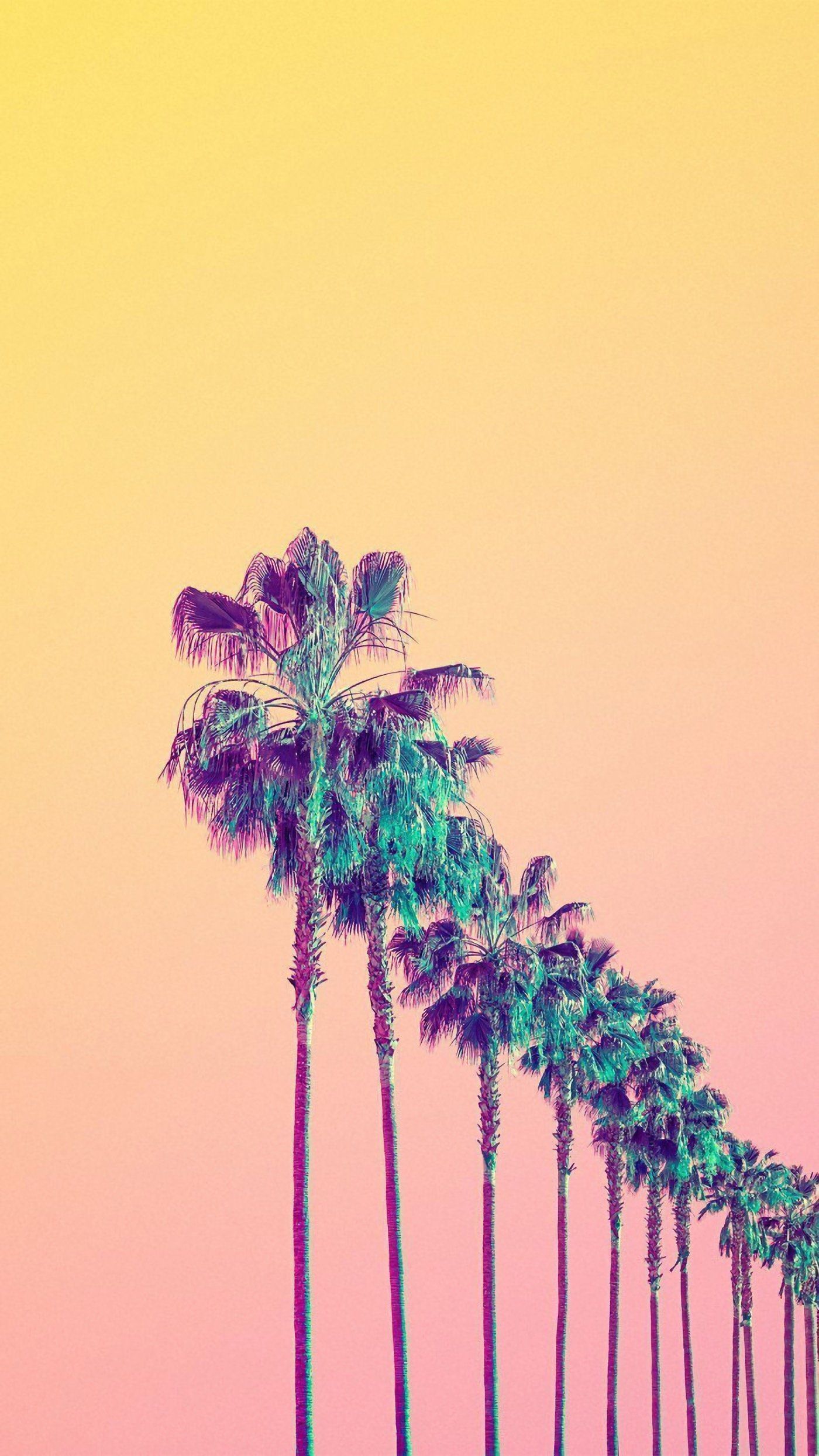 A wallpaper of palm trees with a yellow and pink background - IPhone, modern, cross, palm tree, California