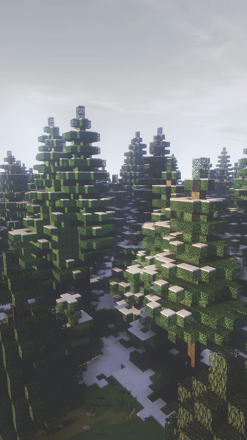 A group of trees in the forest - Minecraft