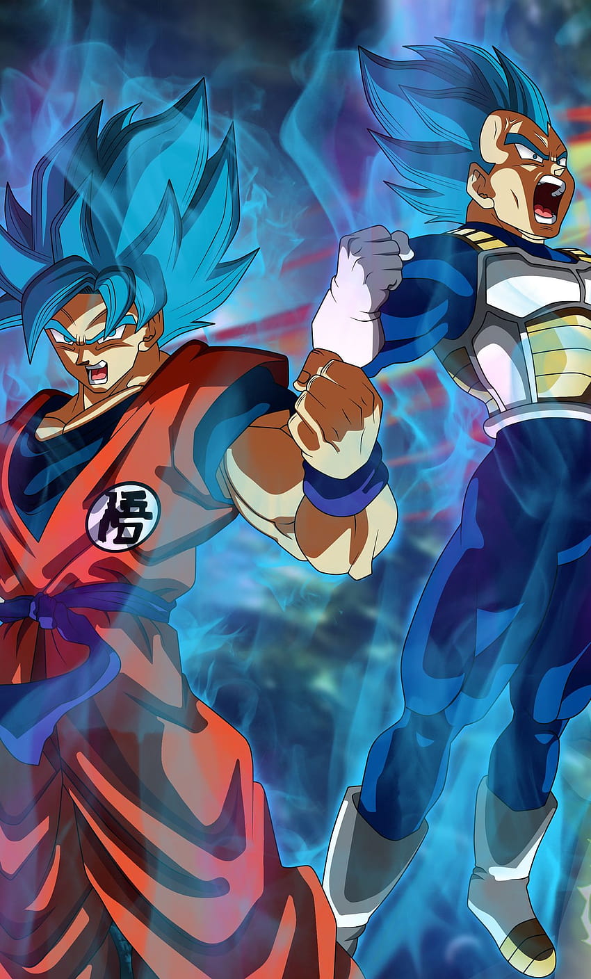 Goku And Vegeta Phone, vegeta vs goku aesthetic HD phone wallpaper