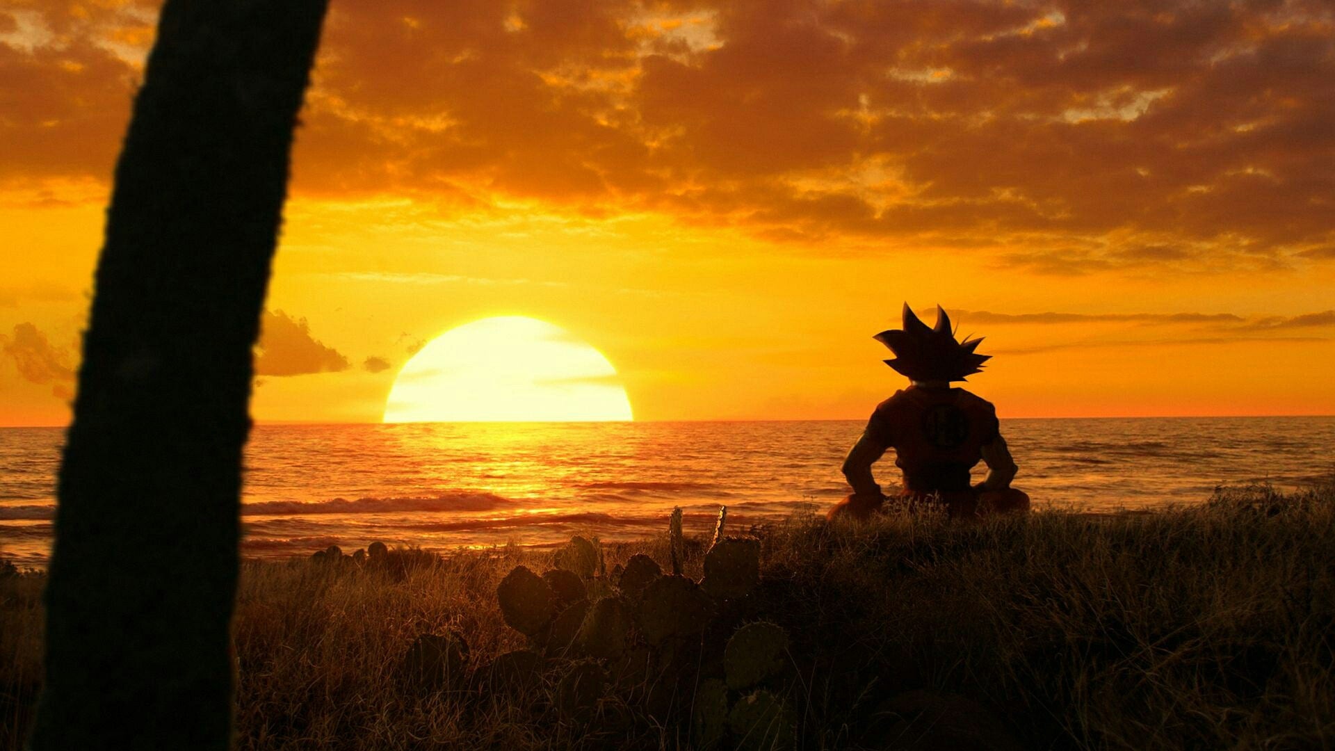 A person sitting on the beach at sunset - Goku