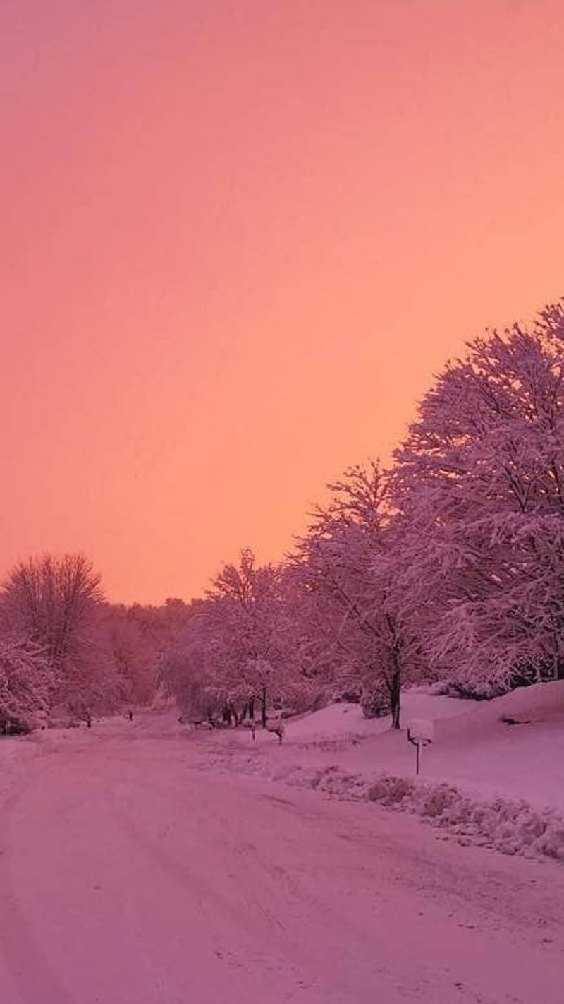 Snowy sky, aesthetic, christmas, snow, sunset, trees, winter, HD phone wallpaper