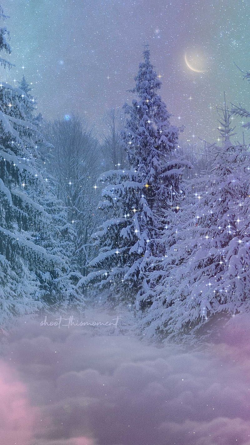 Winter nights, aesthetics, christmas, dreamy, moon, northernlights, pines, snow, HD phone wallpaper