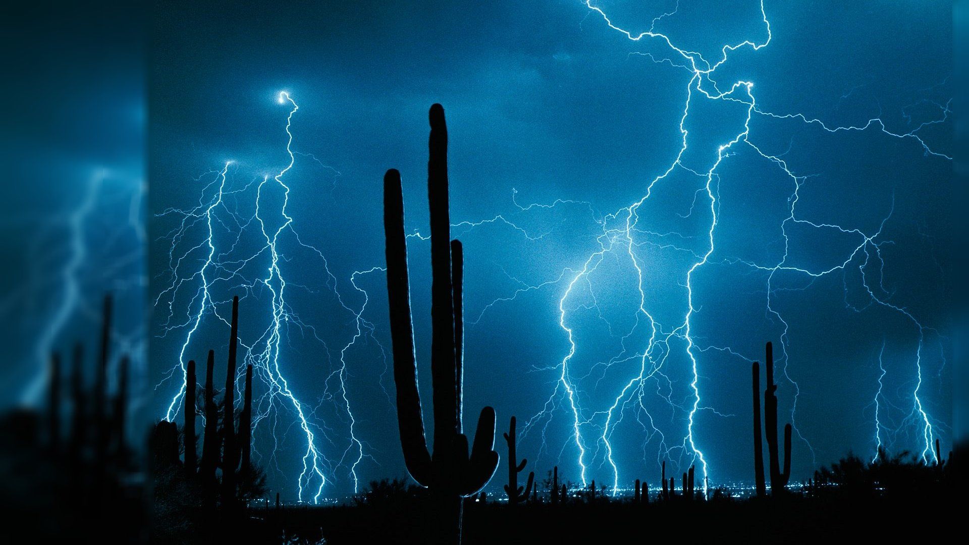 Lightning in the sky over a cactus - Lightning