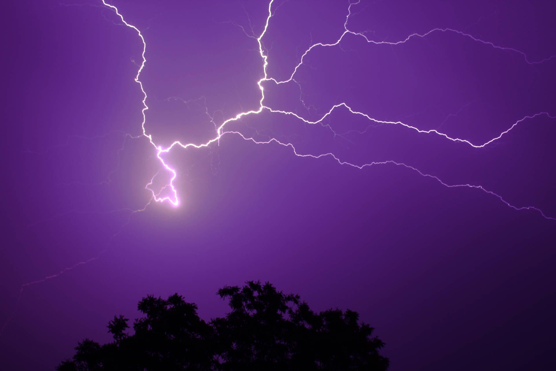A purple sky with lightning and trees - Lightning
