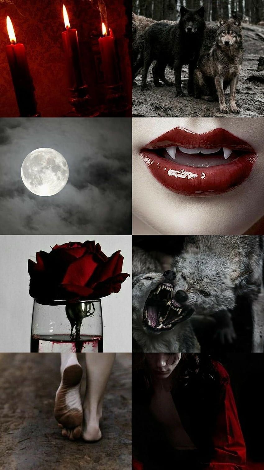 A collage of pictures with different images - Vampire