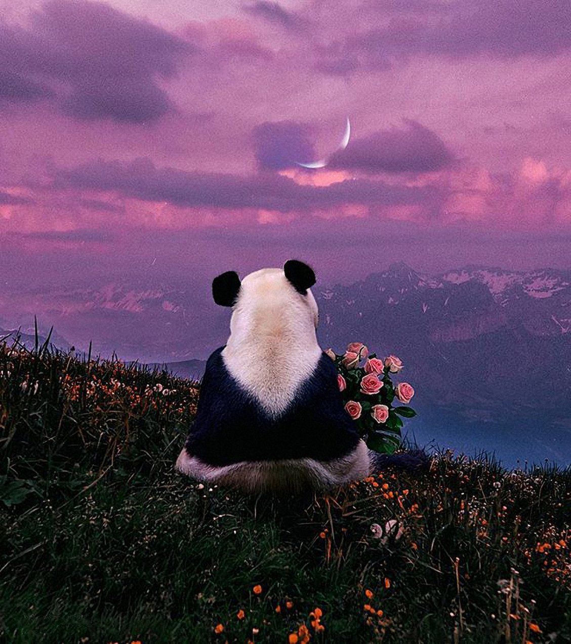 A panda bear sitting on top of the hill - Panda