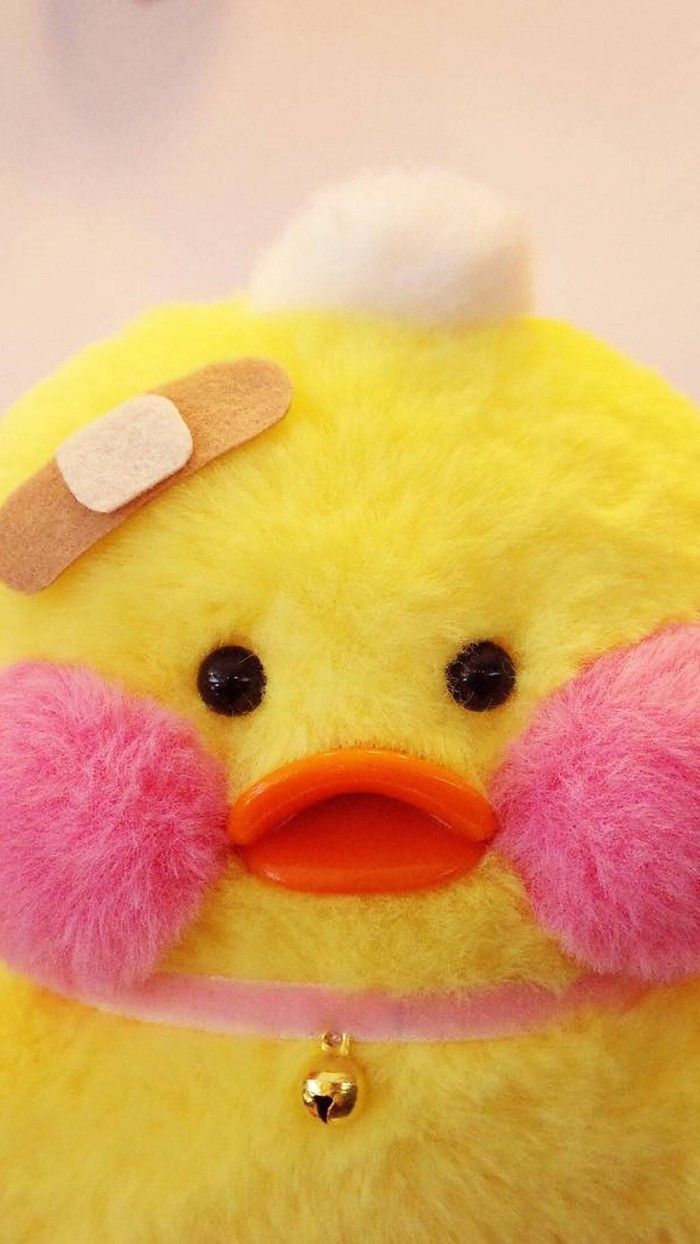 Close up photo of a stuffed animal, cute iphone wallpaper, yellow duck with pink cheeks and a band aid on its head - Duck
