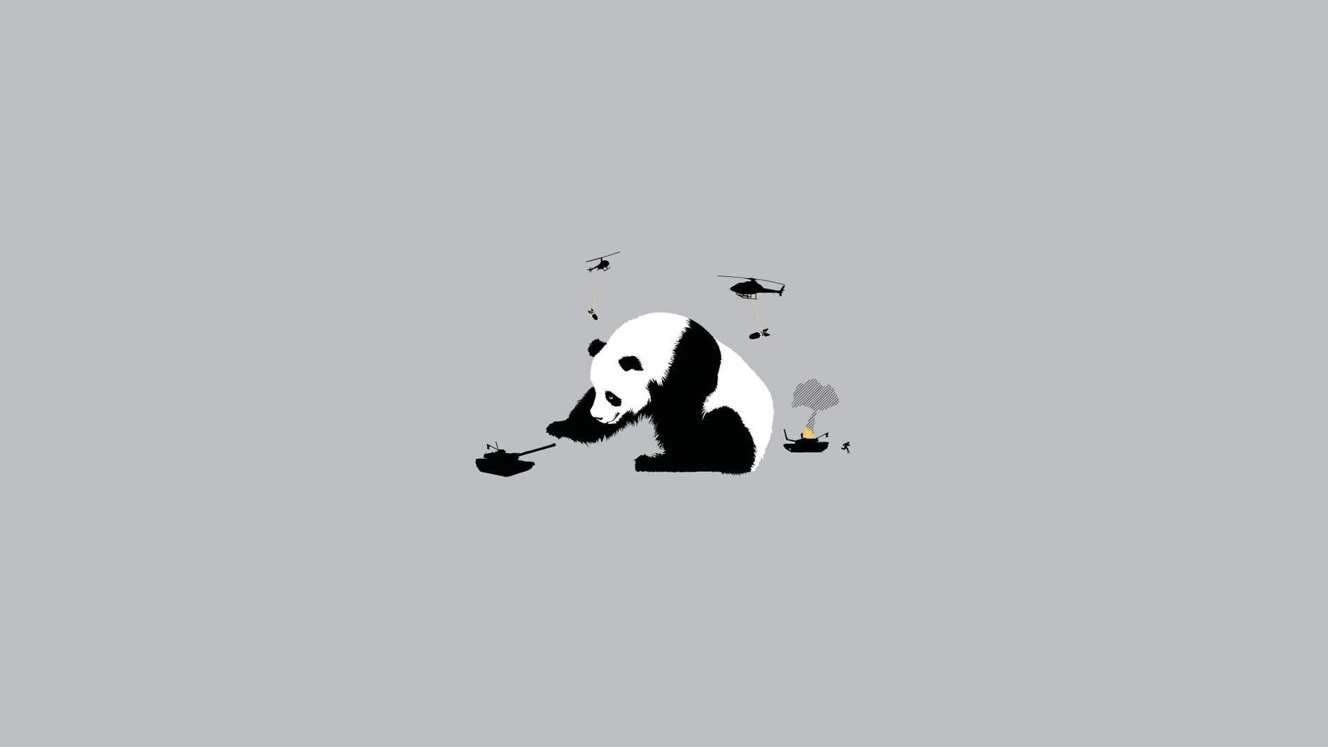 panda wallpaper walldevil