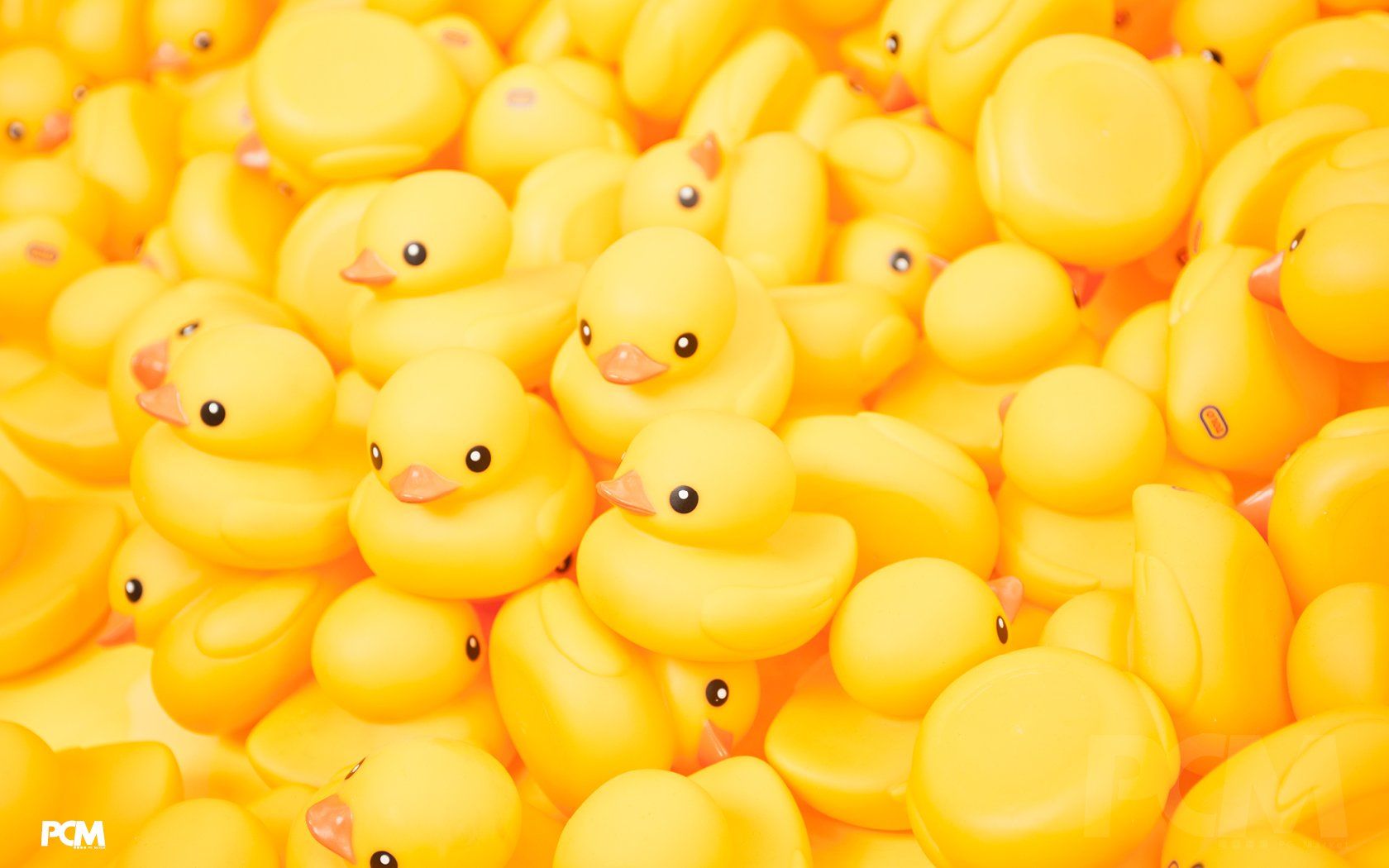 A lot of yellow rubber ducks - Duck