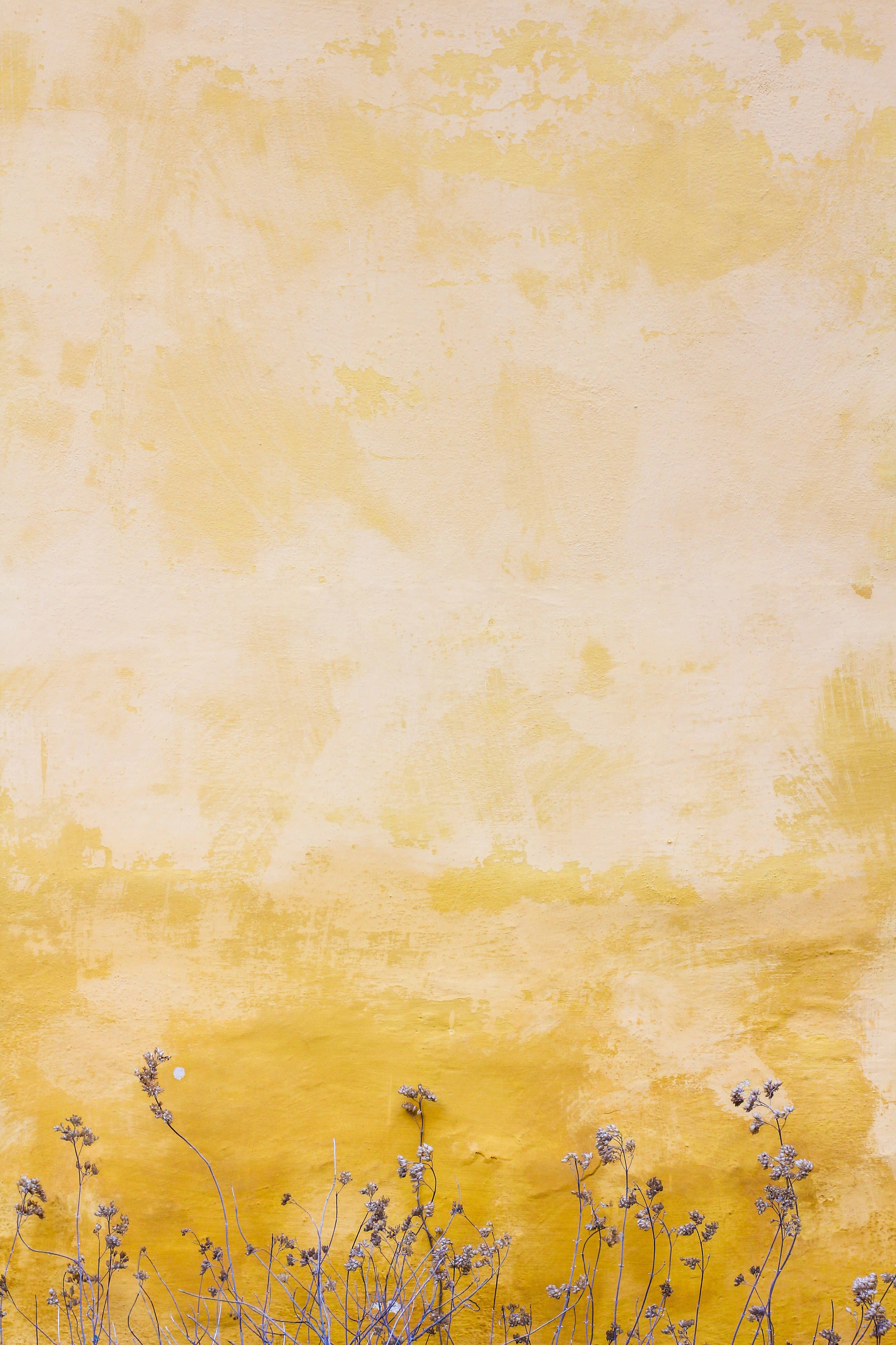 Download Pastel iPhone Mustard Flowers Wallpaper