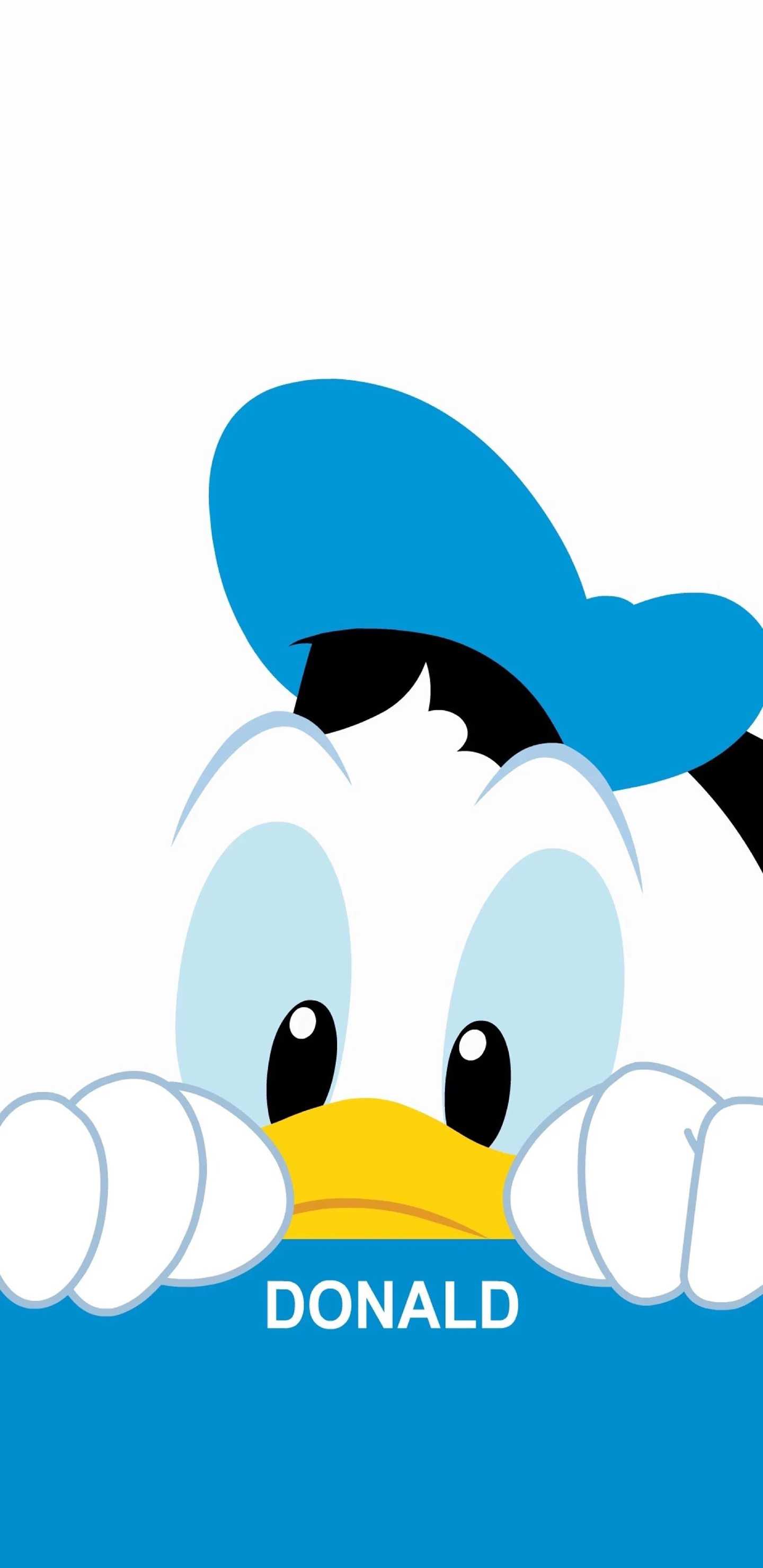 A cartoon character with the name donald - Duck