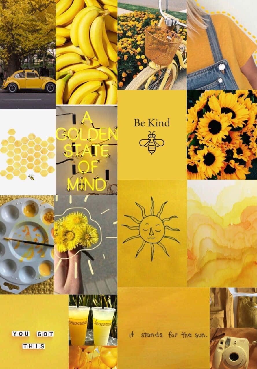 A collage of pictures with yellow and bananas - 