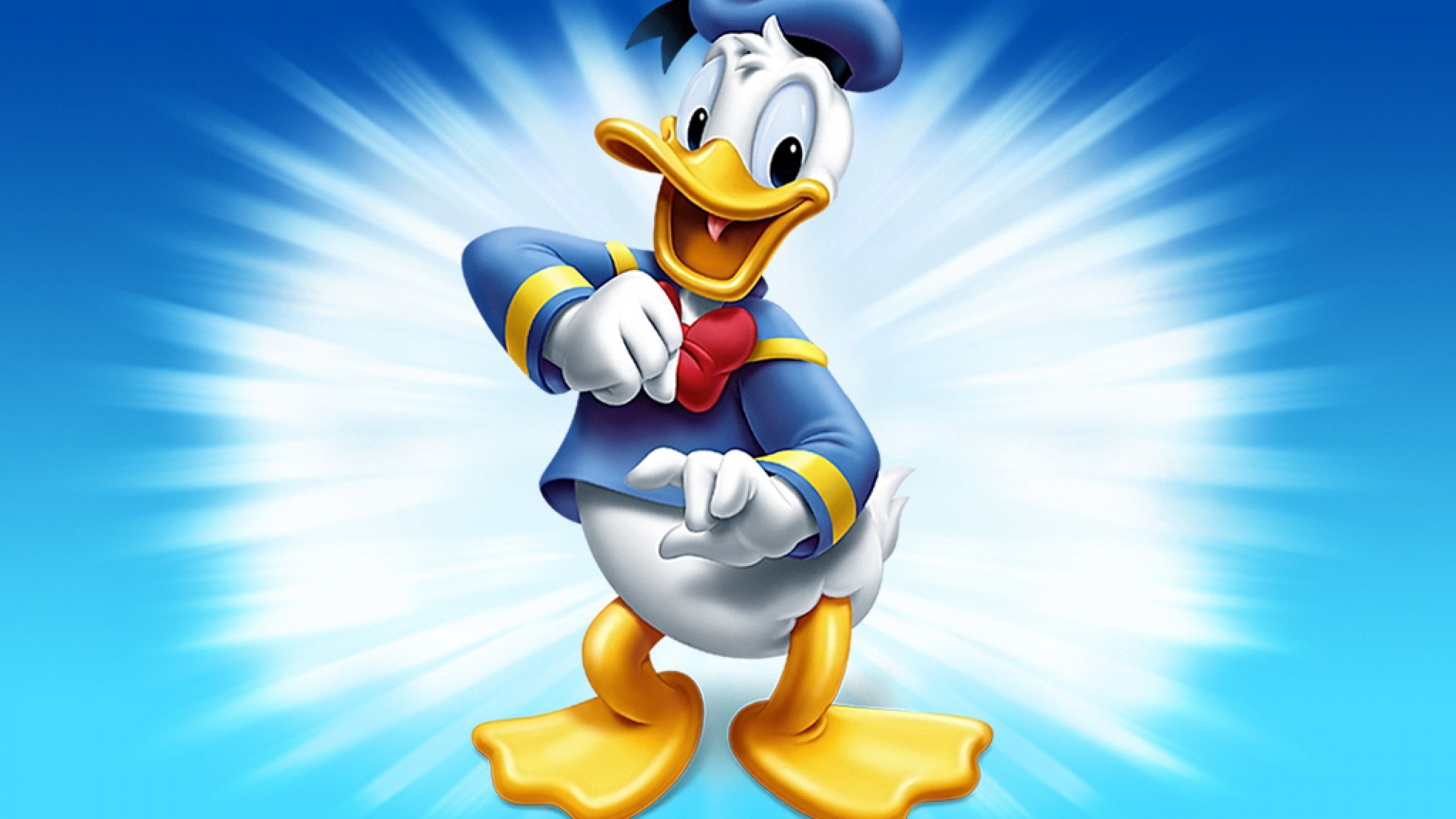 A cartoon character of donald duck - Duck