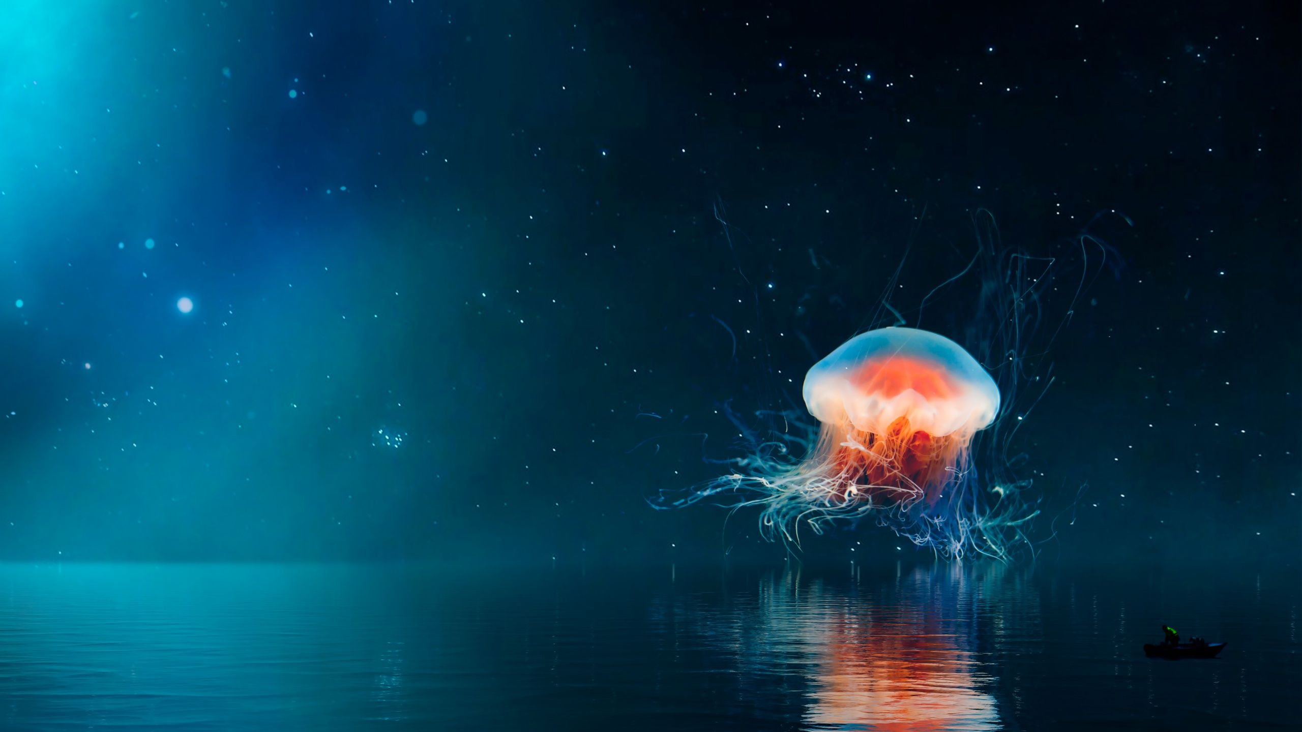 A jellyfish floating in the ocean with a boat in the distance - Jellyfish