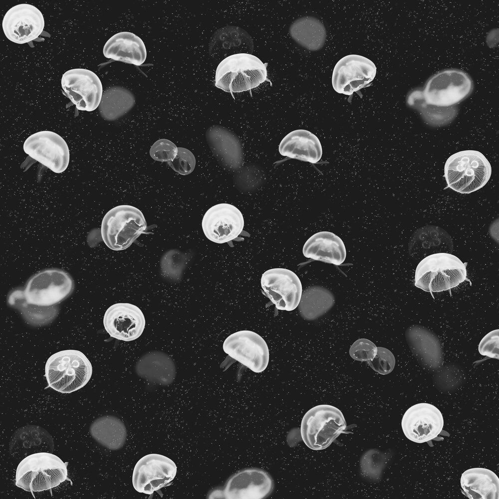 Jellyfish by Coordonne : Wallpaper Direct