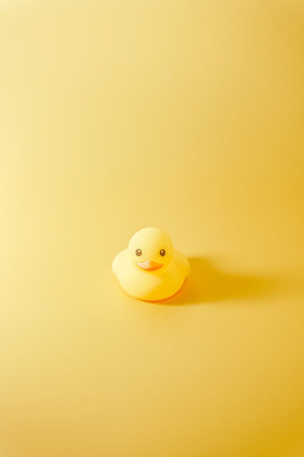 Free Duck Image