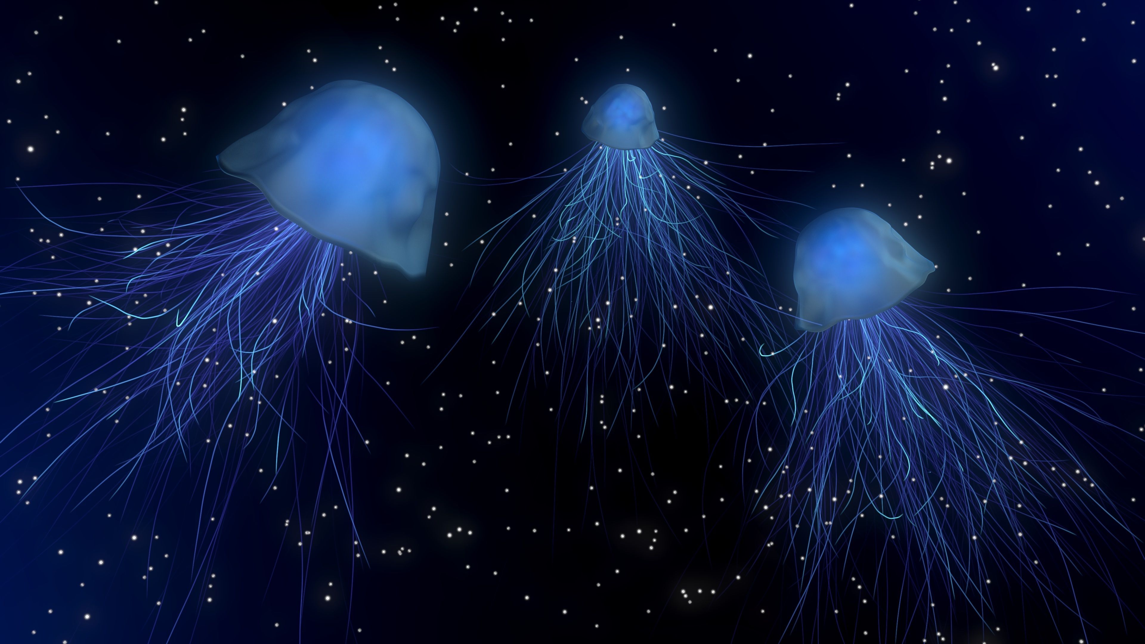 A photo of three jellyfish swimming in the ocean - Jellyfish