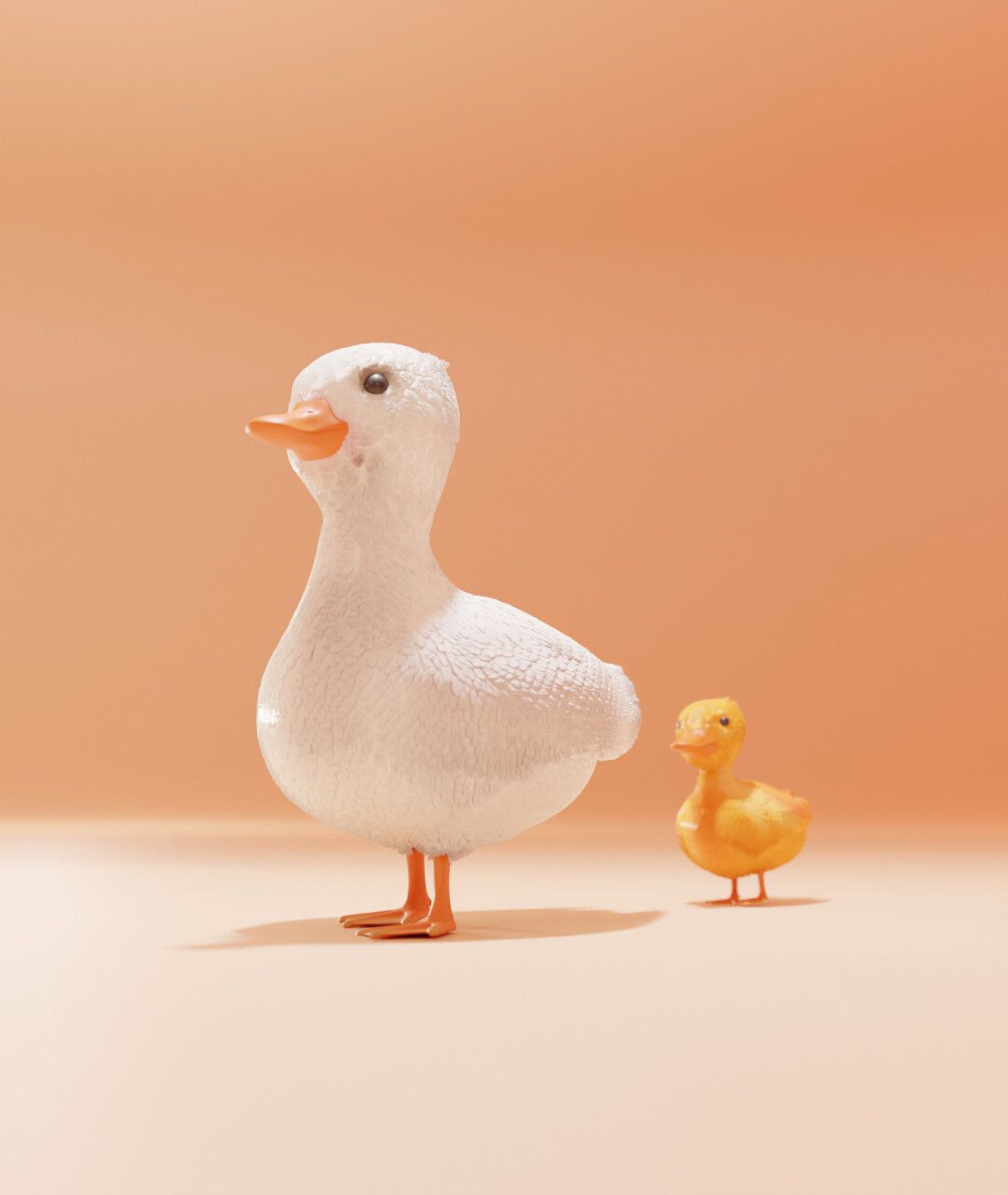 A white duck and a yellow duckling - Duck