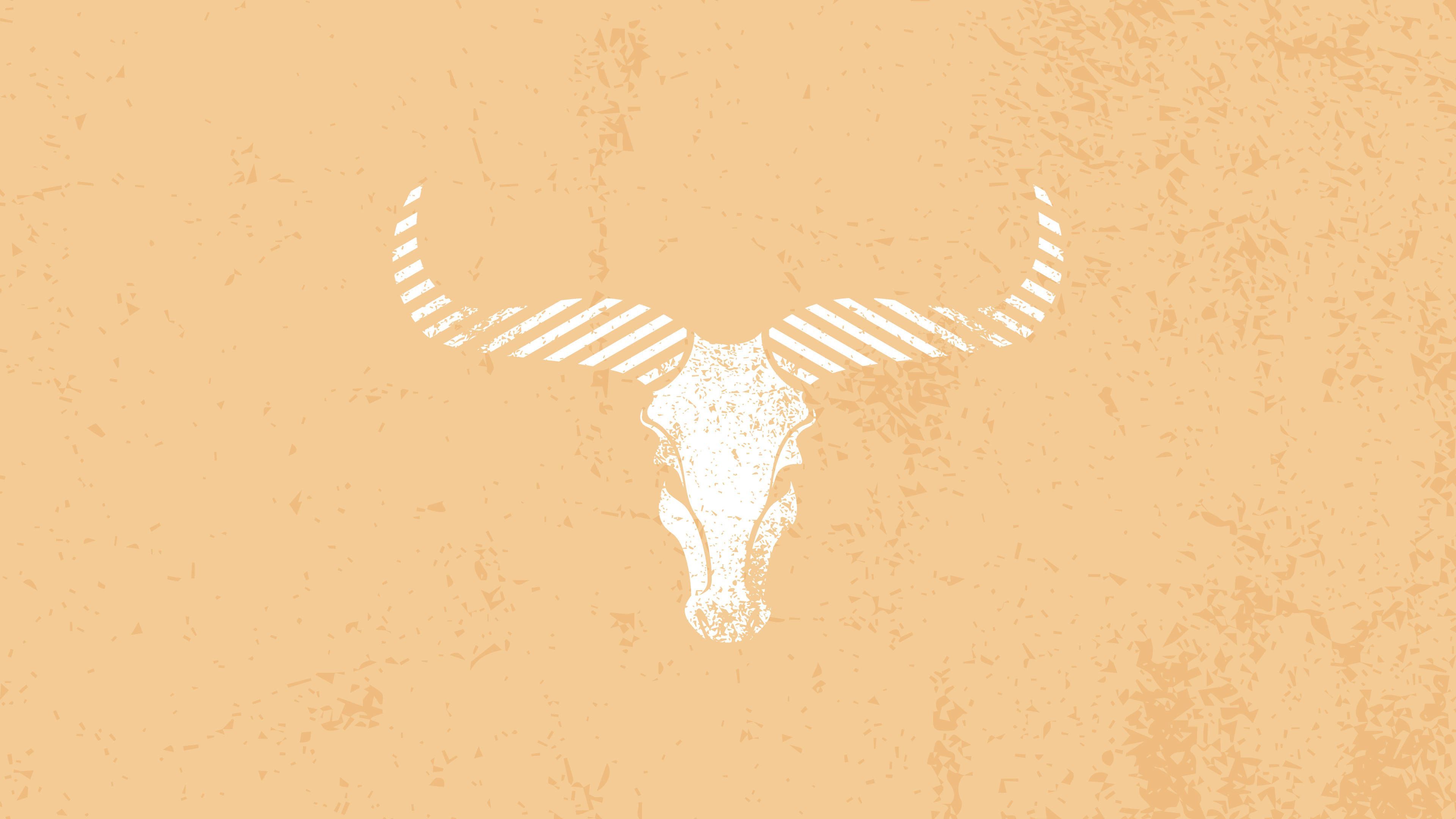 Download Minimalist Western Bull Aesthetic Wallpaper