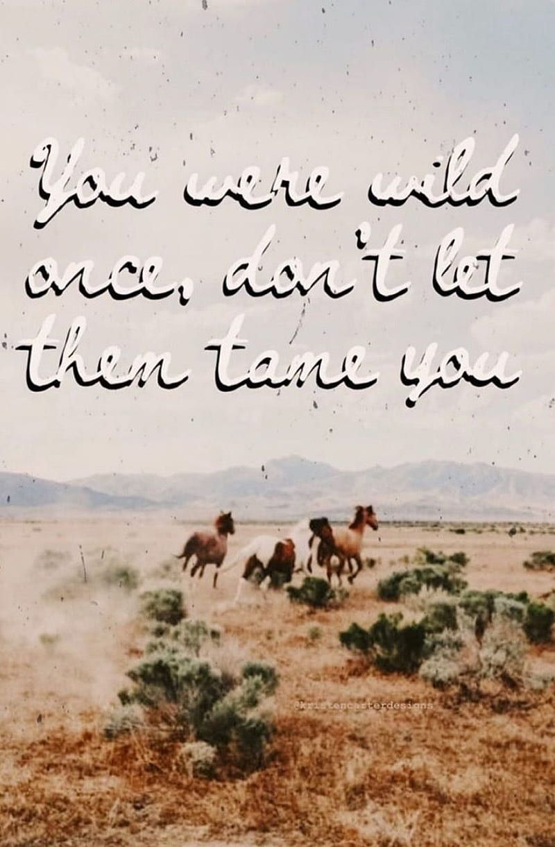 Tame is Lame. Western aesthetic, Western graphy, Country background, Western Asthetic, HD phone wallpaper