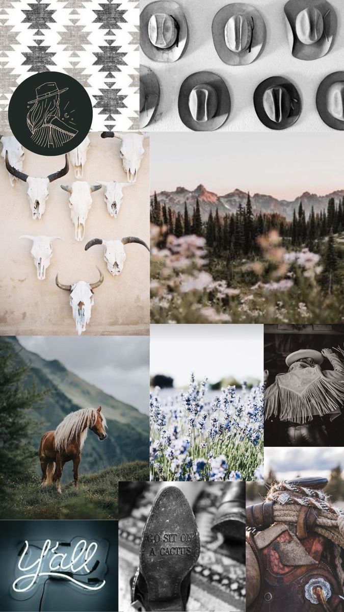 A collage of pictures with different animals and landscapes - Western