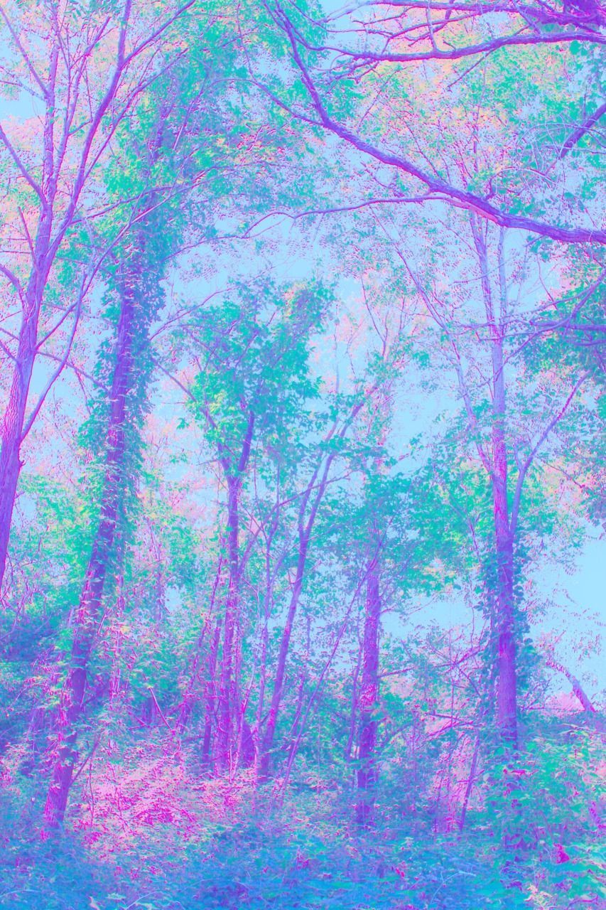 A purple and blue forest with trees - Neon, 3D, forest, trippy