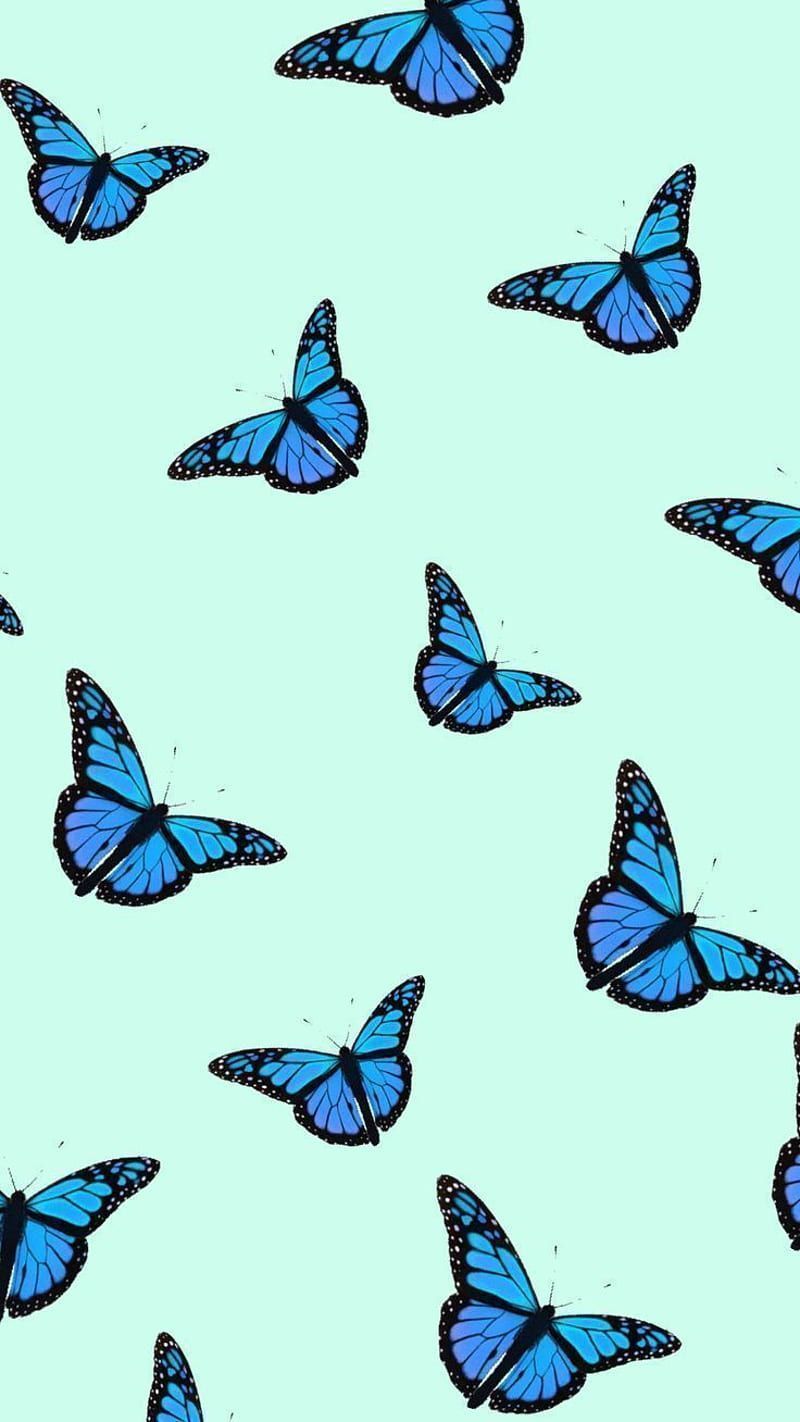 A pattern of blue butterflies on green background - Aqua, butterfly