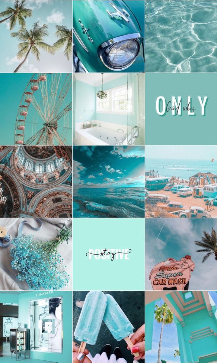A collage of different images with the word only - Aqua