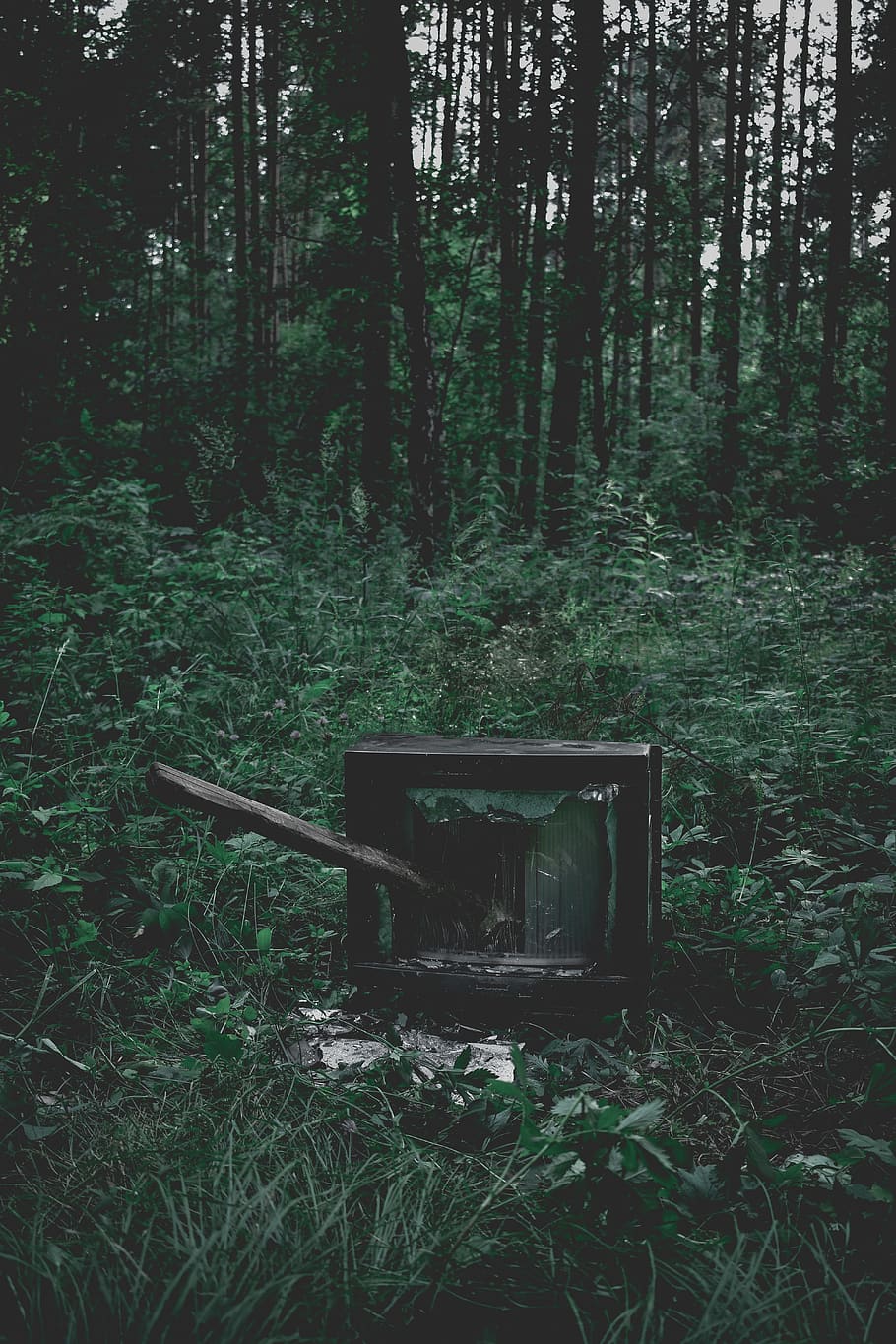A television sits in the middle of a forest. - Dark green, aqua, jungle