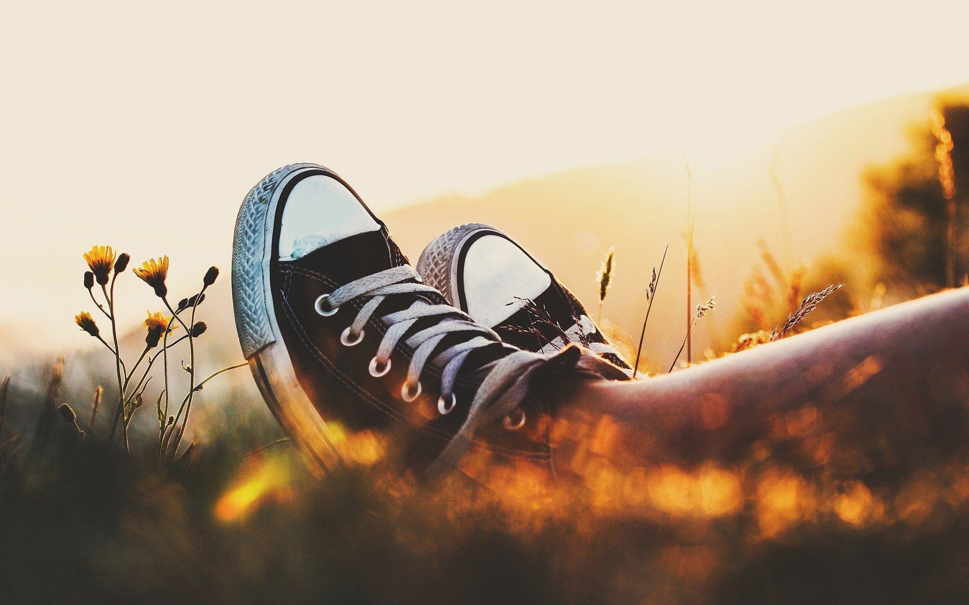 A person's feet in sneakers are seen in the grass with the sun setting in the background. - Converse