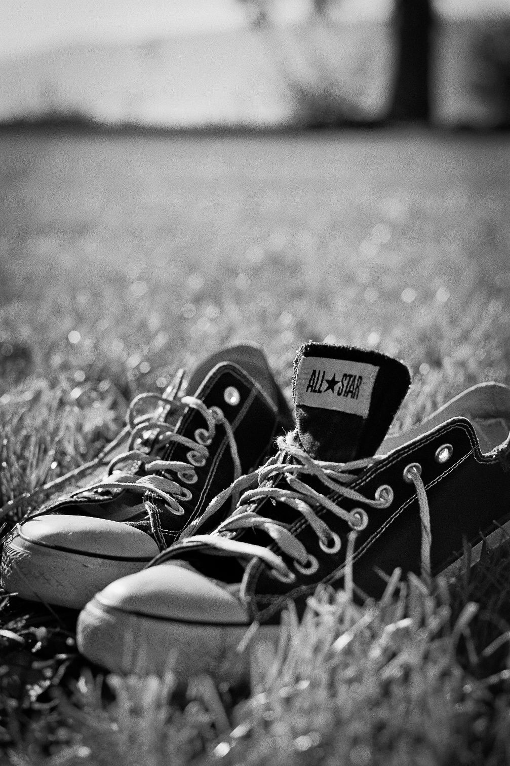 A pair of converse sneakers are sitting on the grass. - Converse