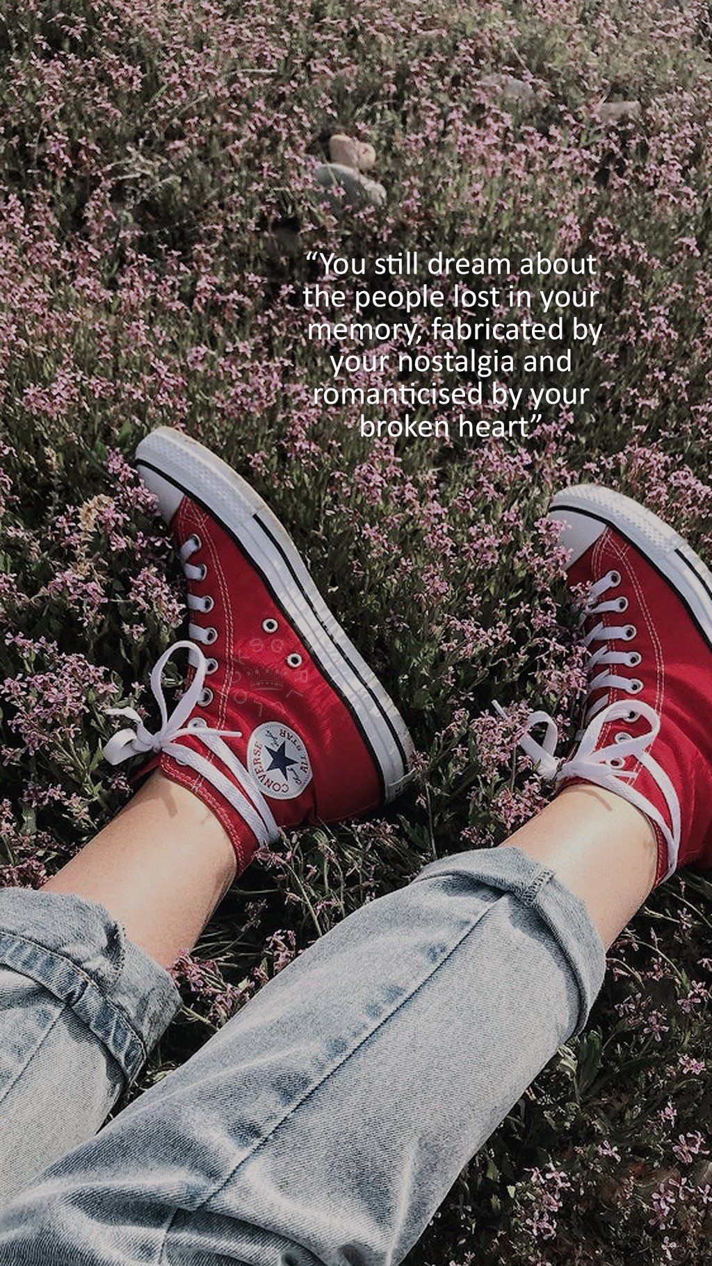 A person wearing red converse shoes with the quote, i'm not afraid of death - Converse