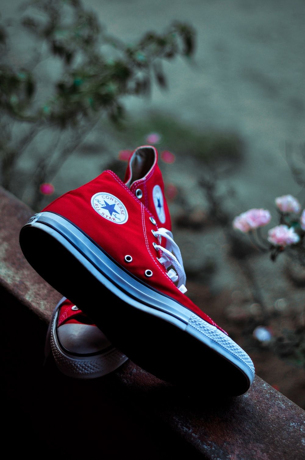 A red converse shoe sitting on the edge of something - Converse