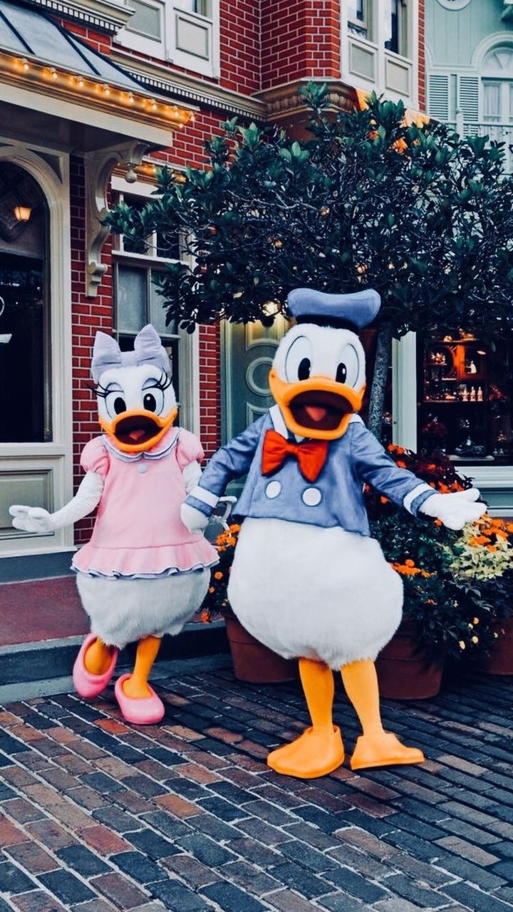Two donald duck characters standing on the sidewalk - Duck