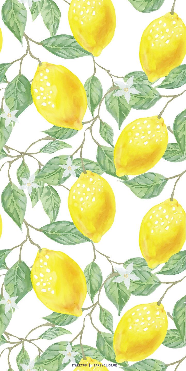 A pattern of lemons and leaves on white background - Lemon