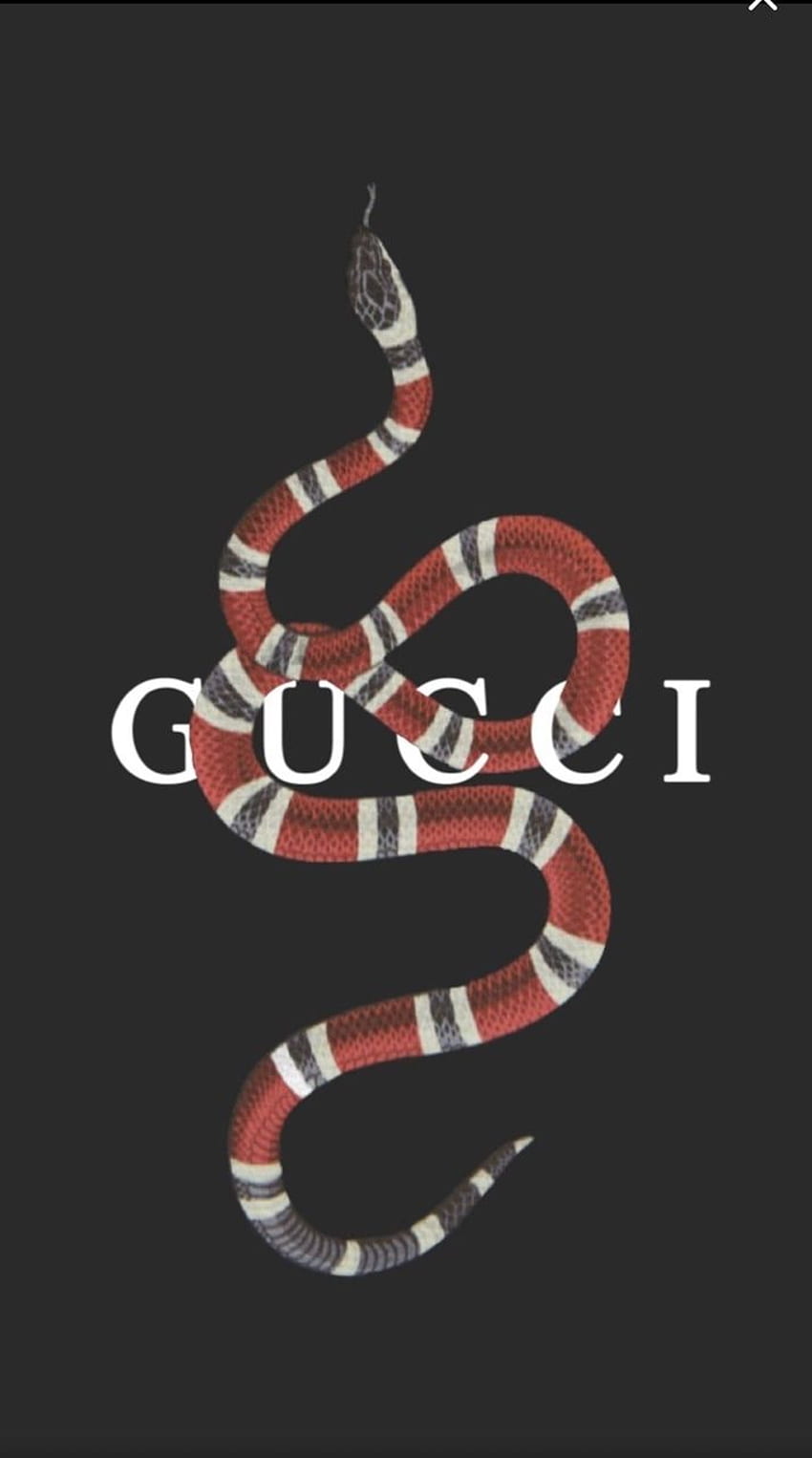 A snake with the word Gucci written underneath it - Gucci