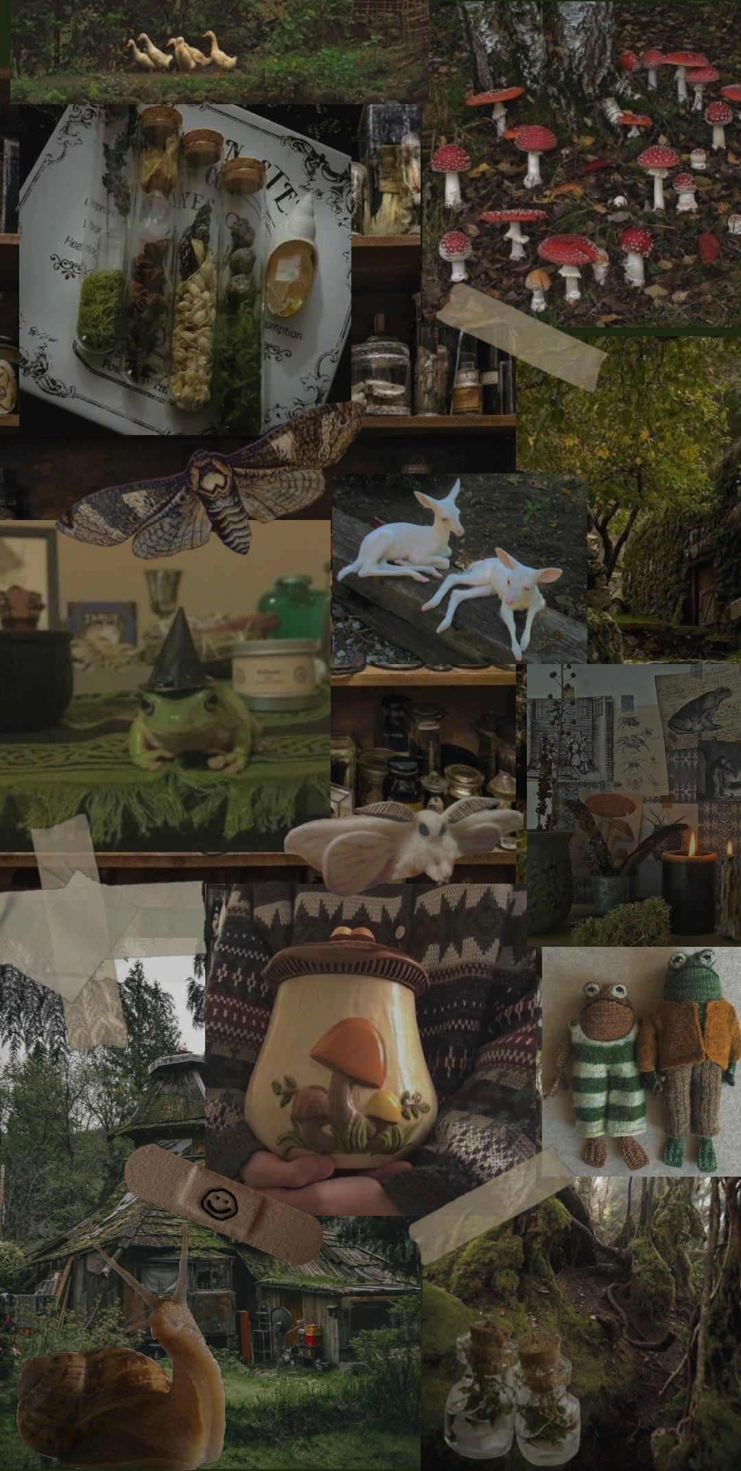 A collage of pictures with mushrooms and other items - Goblincore