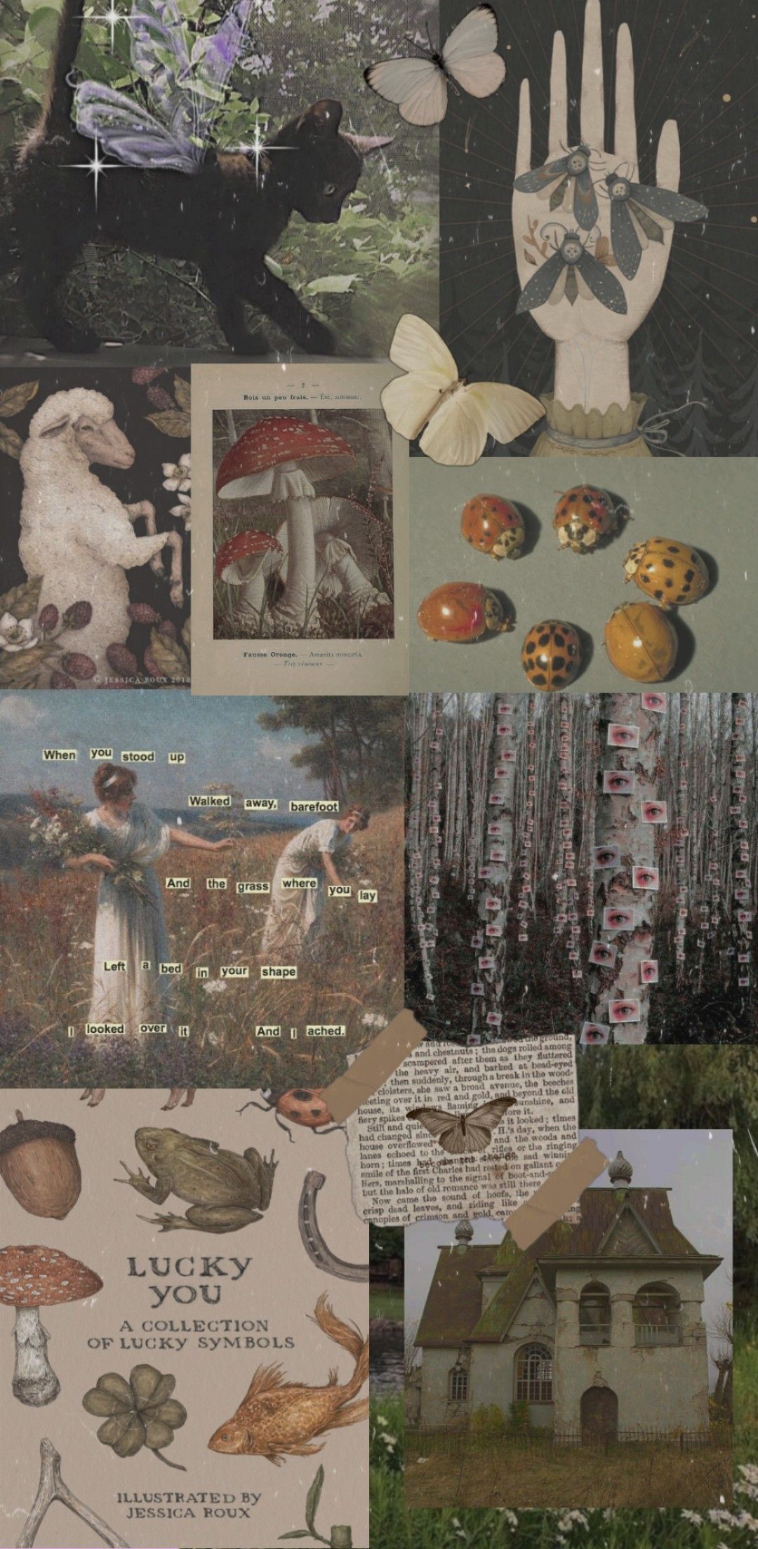 Collage of images including mushrooms, a rabbit, a butterfly, a hand, a book cover, a house, and a forest. - Goblincore