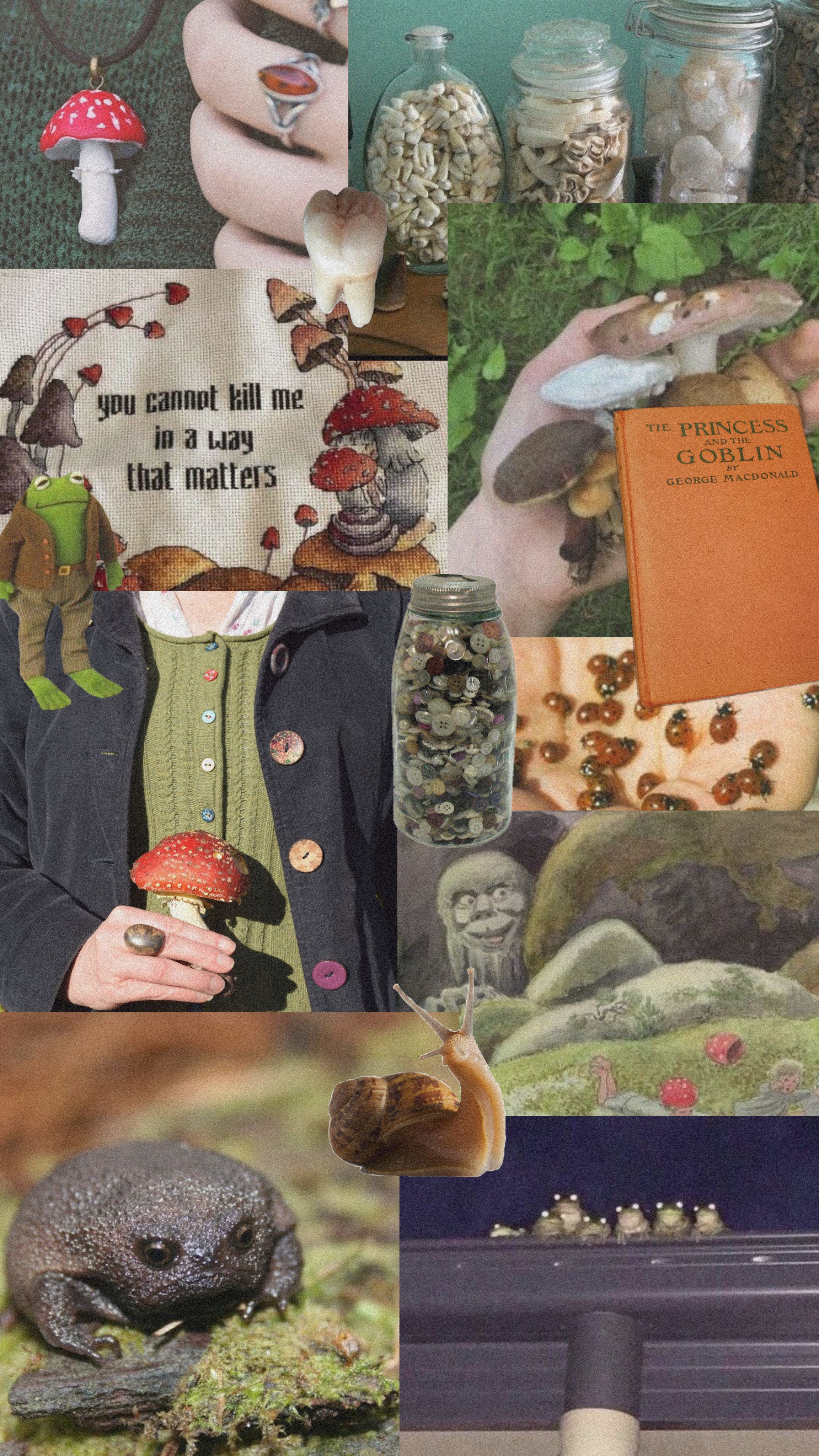 A collage of pictures with mushrooms and other items - Goblincore