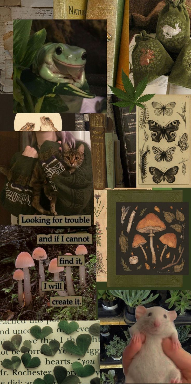 Aesthetic background with green and black colors, featuring images of mushrooms, a frog, a mouse, and a book. - Goblincore