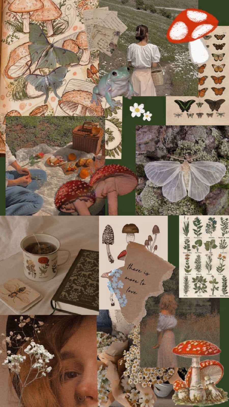 Aesthetic collage of mushrooms, tea, and children in the forest. - Goblincore