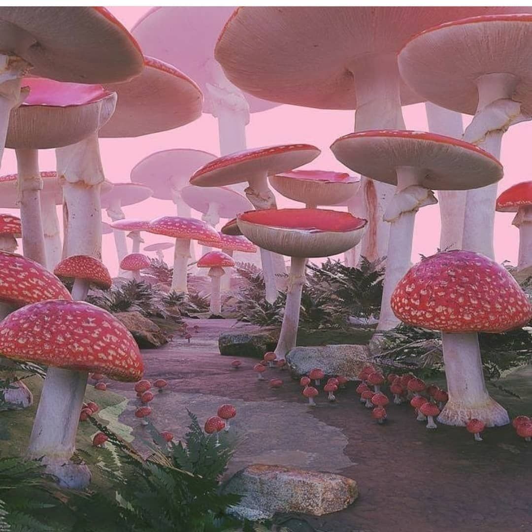 Red mushrooms growing on a pink hillside - Goblincore