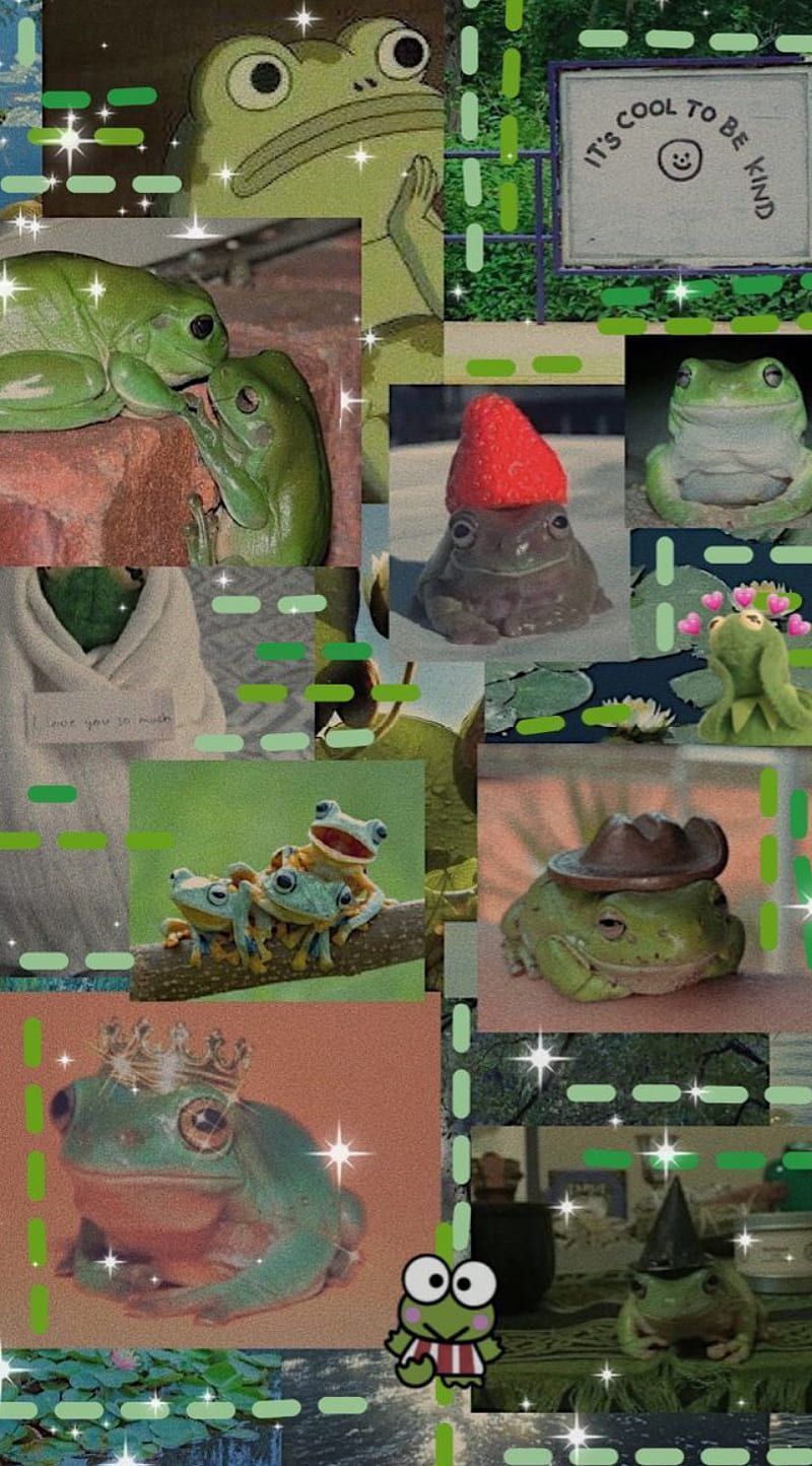 A collage of pictures with frogs in them - Goblincore