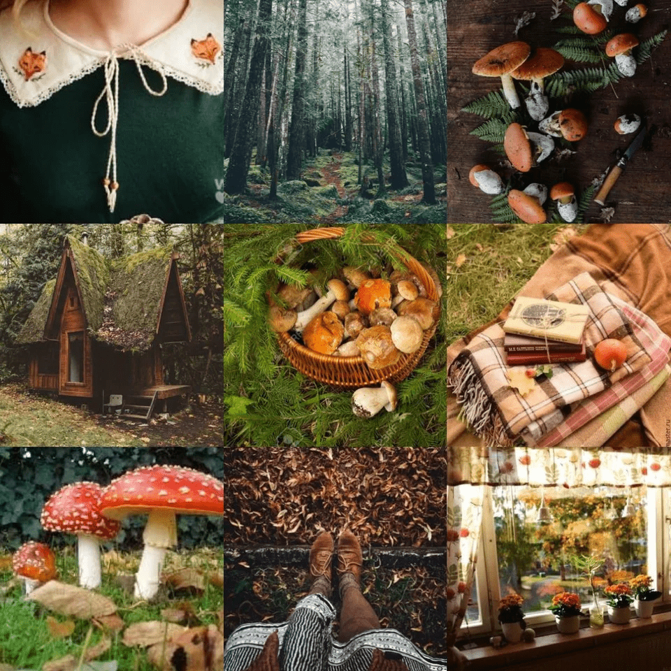A mood board featuring a forest, mushrooms, a cabin, a picnic blanket, and a cozy window. - Goblincore