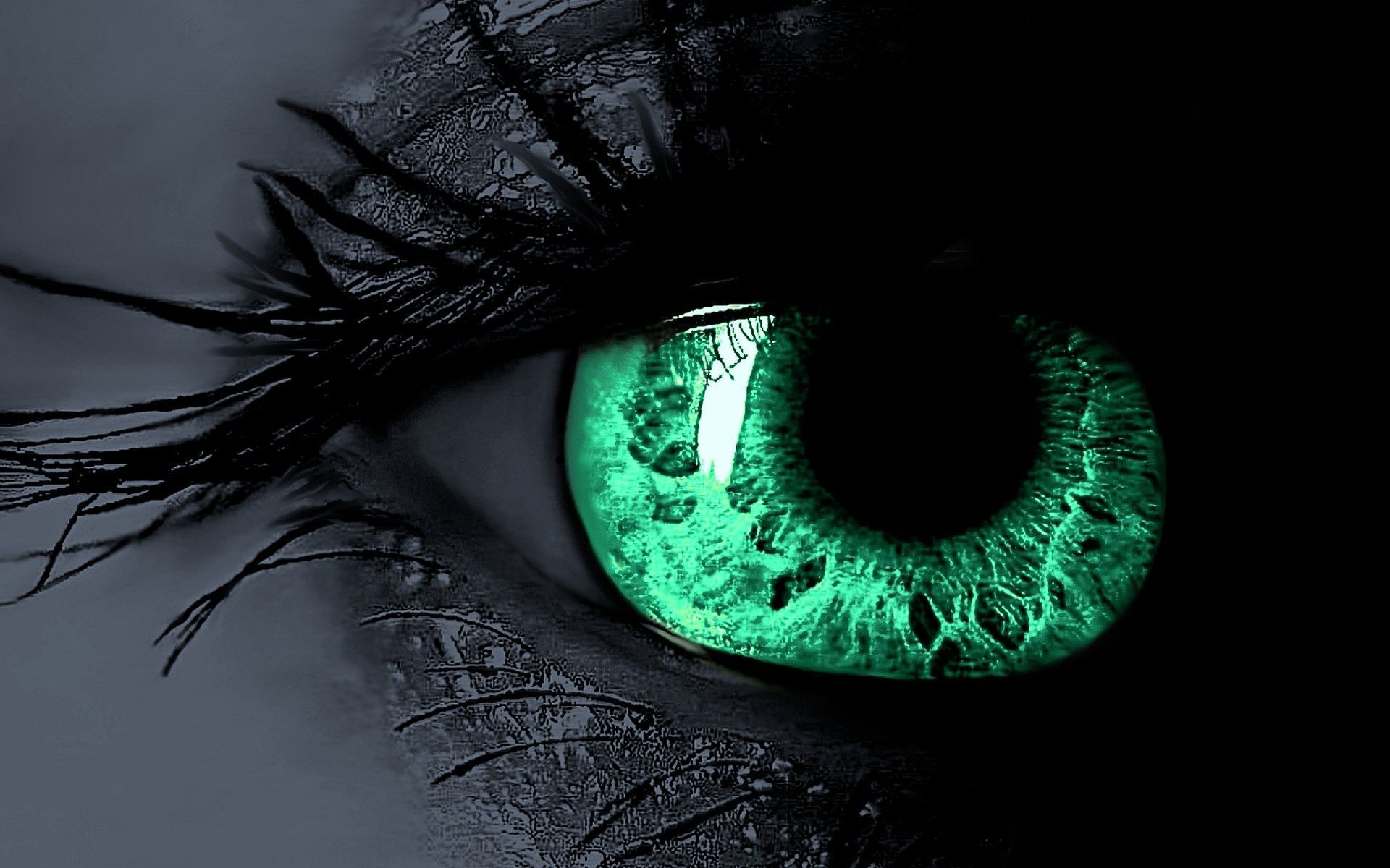 Green Eye Wallpaper Free Green Eye Background