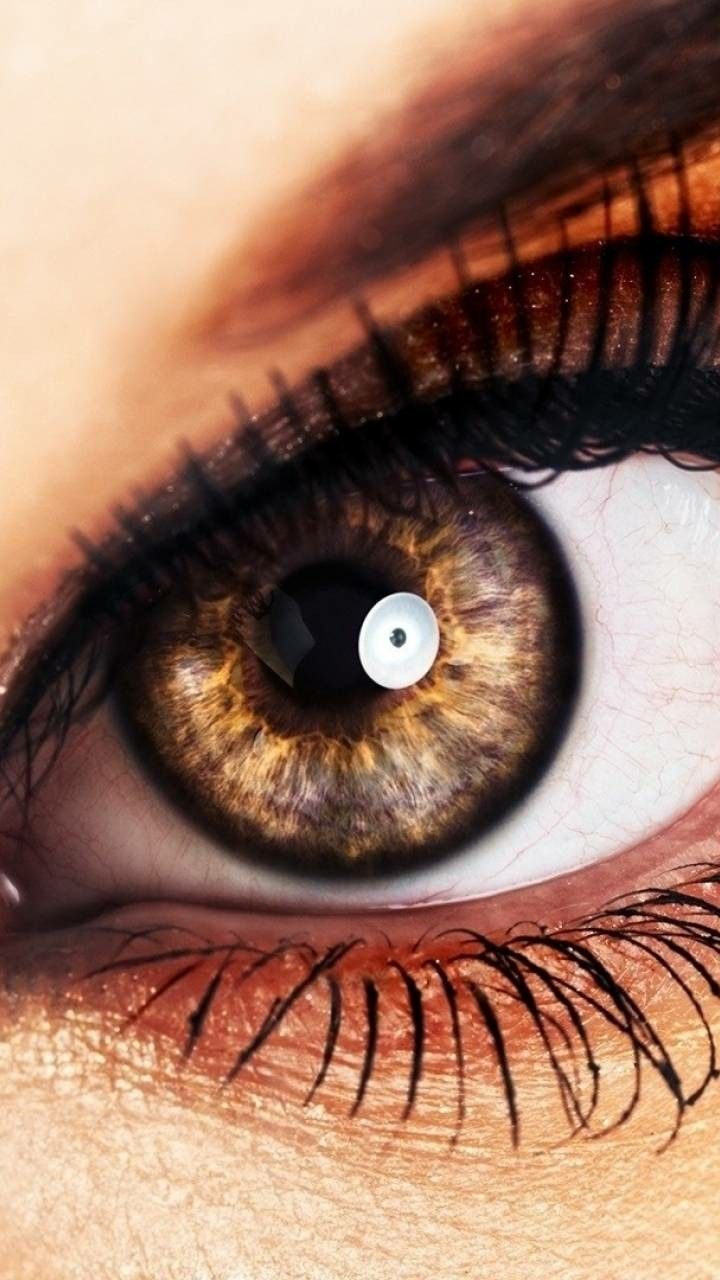 A close up of a brown eye with long eyelashes - Eyes