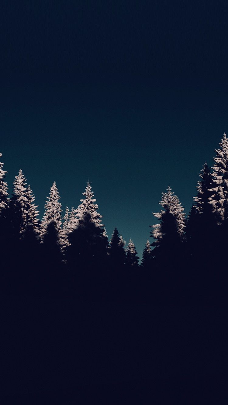Wood Winter Night Mountain Blue Dark Wallpaper