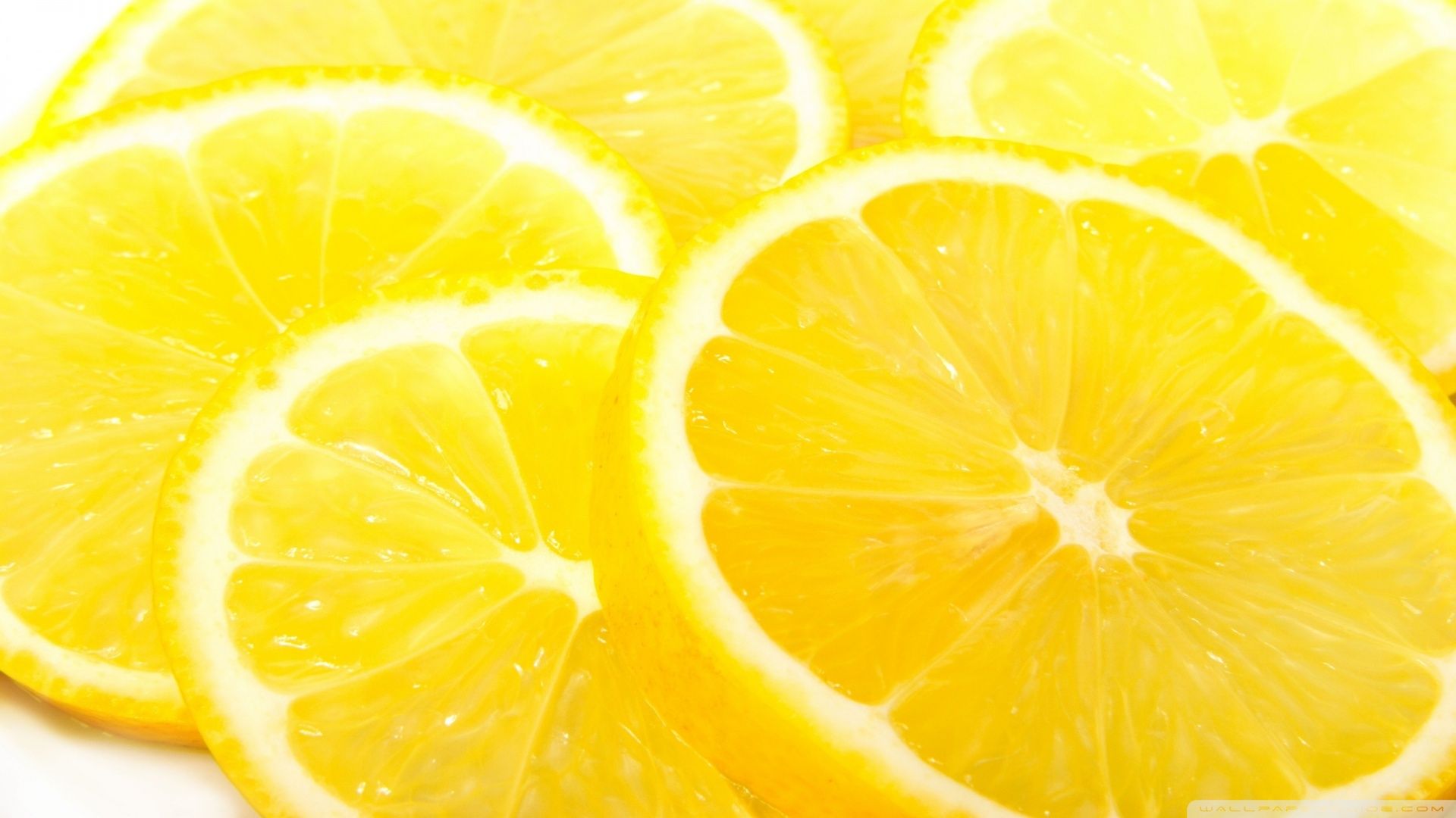 Lemon slices on a white background - Lemon