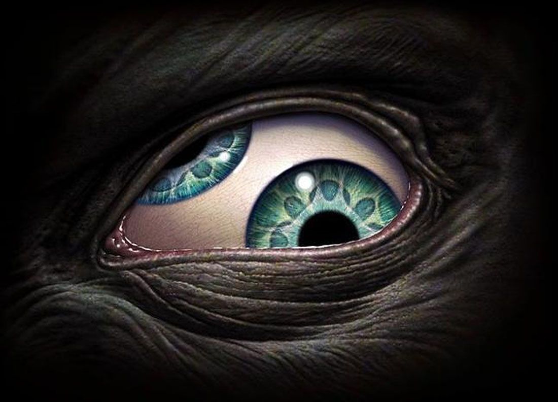 A close up of an alien's eye - Eyes