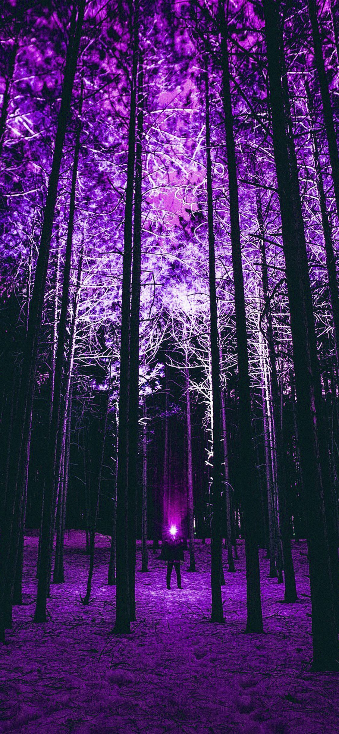 A purple forest with a light in the distance - Woods